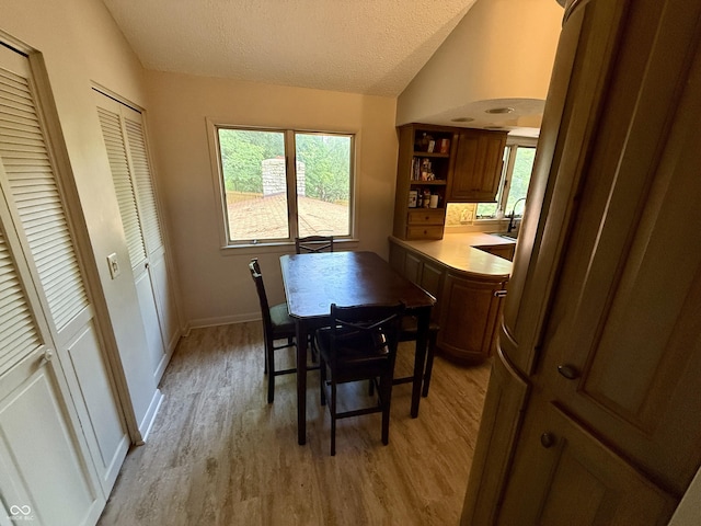 910 Ranch Rd, Connersville, IN 47331 - dining room featuring lofted ceiling, light wood-style floors, and a textured ceiling