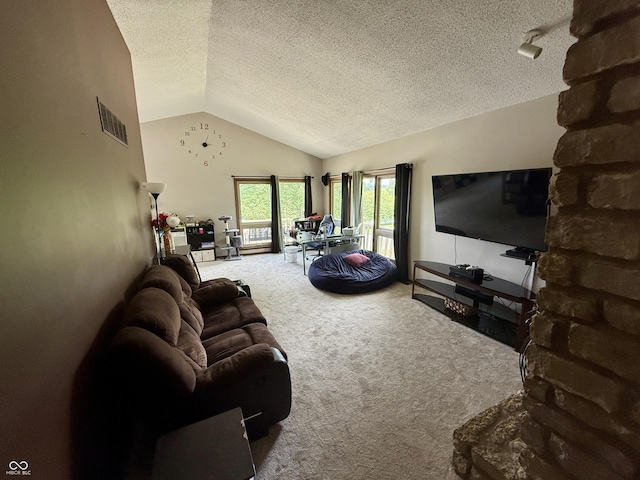 910 Ranch Rd, Connersville, IN 47331 - living room with carpet, lofted ceiling, and a textured ceiling