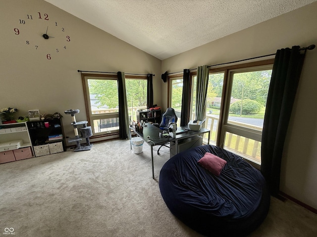 910 Ranch Rd, Connersville, IN 47331 - carpeted office space with lofted ceiling and a textured ceiling
