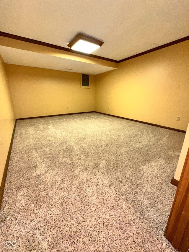 5720 Bayside Dr, Fort Wayne, IN 46815 - spare room with a textured ceiling, ornamental molding, and carpet