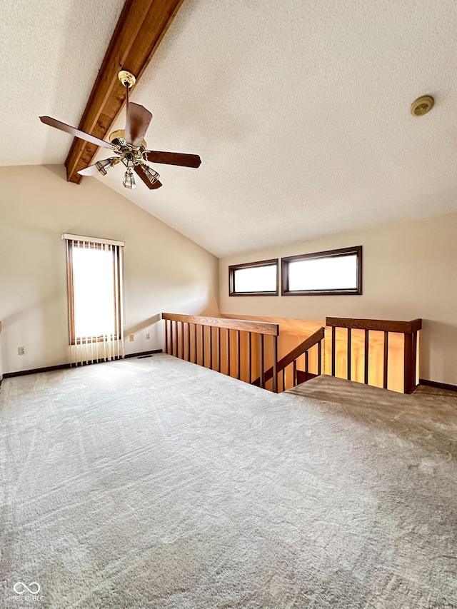 5720 Bayside Dr, Fort Wayne, IN 46815 - carpeted spare room featuring a textured ceiling, a ceiling fan, and plenty of natural light