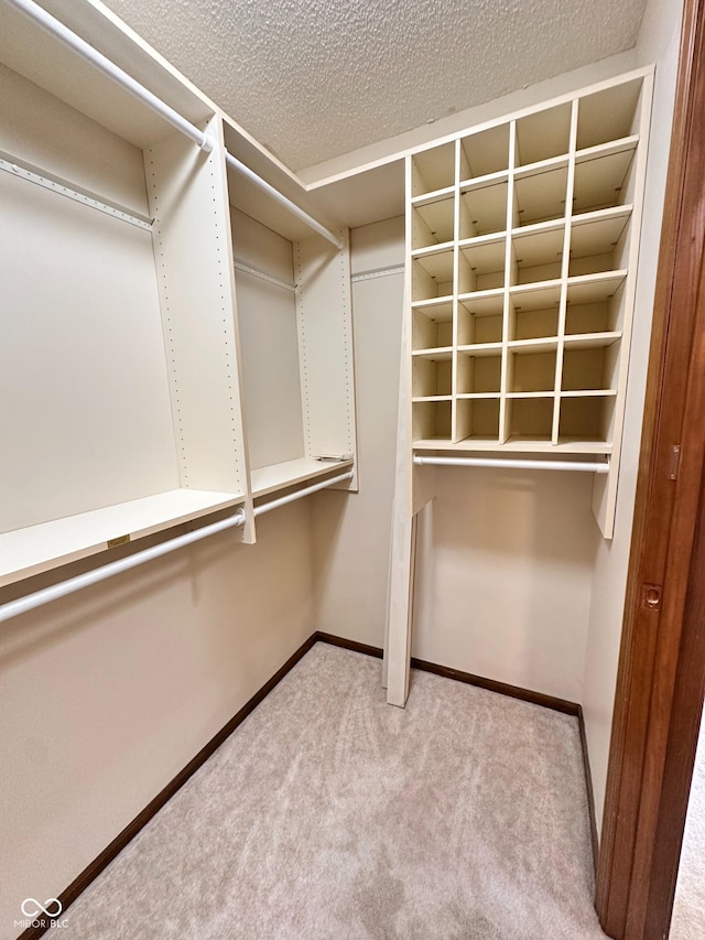 5720 Bayside Dr, Fort Wayne, IN 46815 - spacious closet with carpet floors