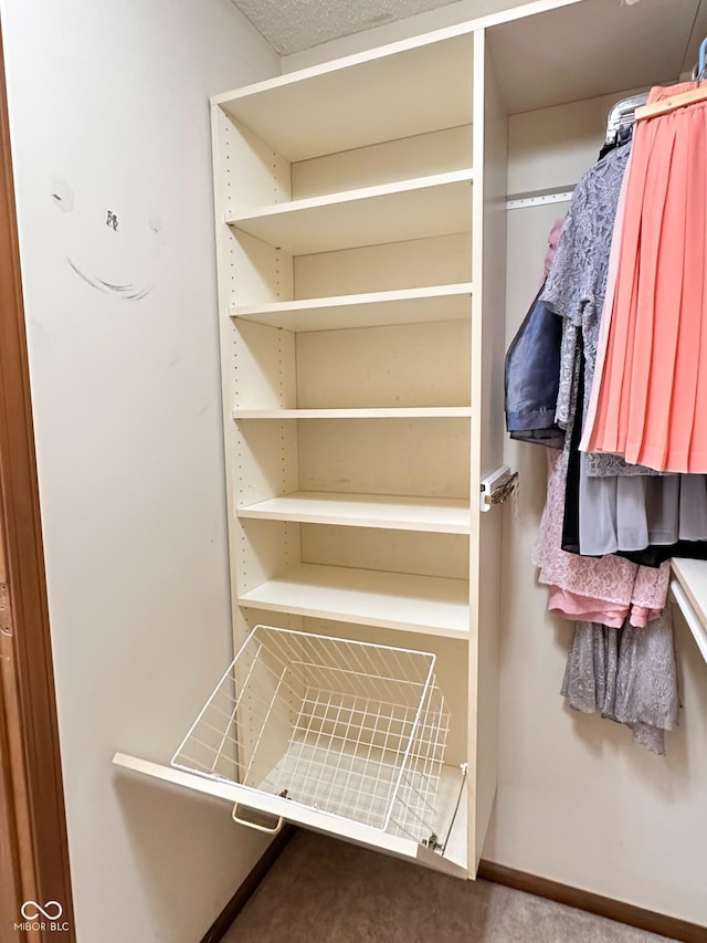 5720 Bayside Dr, Fort Wayne, IN 46815 - view of closet