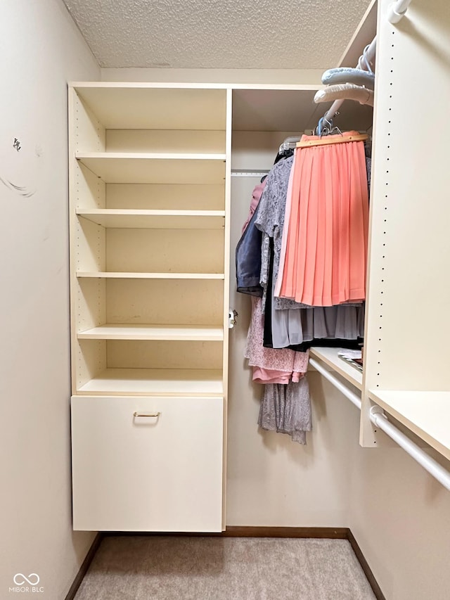 5720 Bayside Dr, Fort Wayne, IN 46815 - spacious closet with carpet flooring