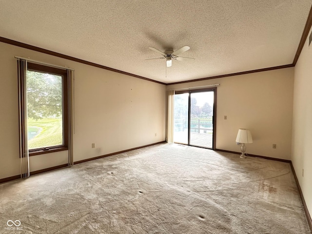 5720 Bayside Dr, Fort Wayne, IN 46815 - spare room with carpet floors, ceiling fan, a textured ceiling, and ornamental molding