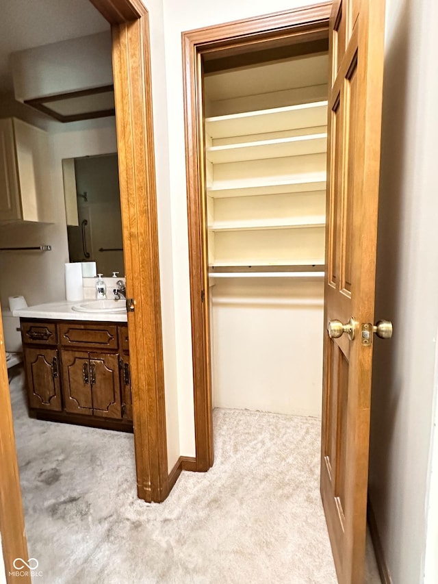 5720 Bayside Dr, Fort Wayne, IN 46815 - closet with a sink