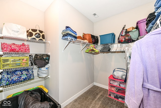 9846 Zion Way, Pendleton, IN 46064 - walk in closet featuring carpet floors