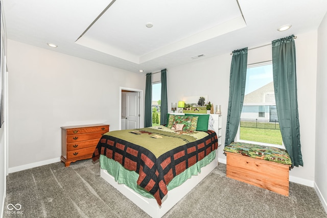 9846 Zion Way, Pendleton, IN 46064 - carpeted bedroom featuring multiple windows, recessed lighting, and a tray ceiling