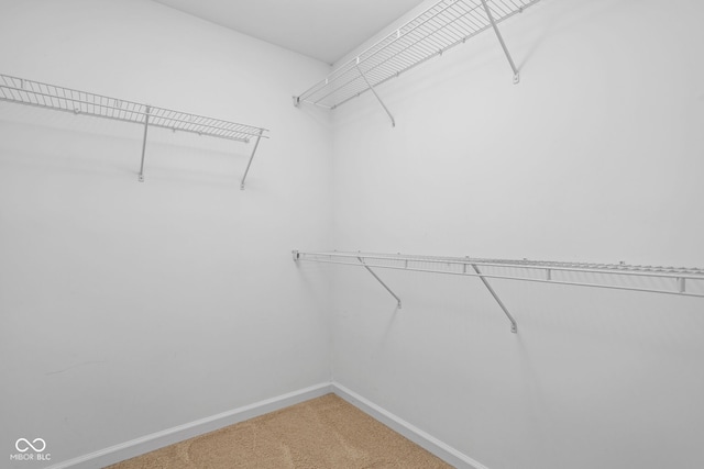 3827 Dusty Sands Rd, Whitestown, IN 46075 - walk in closet featuring carpet floors