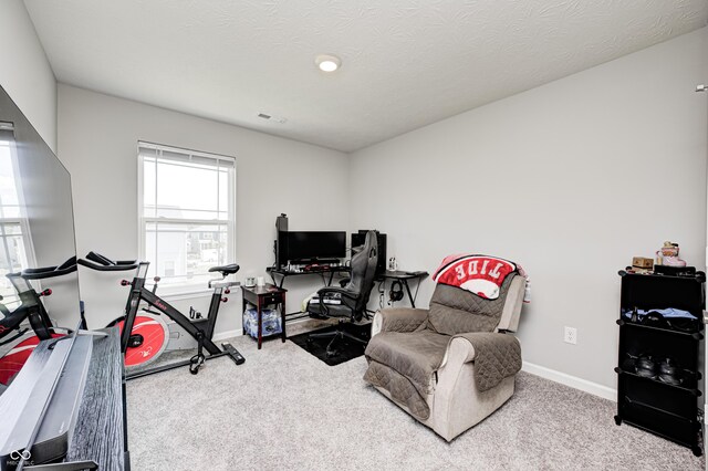 11213 N Heirloom Dr, Monrovia, IN 46157 - photo 26