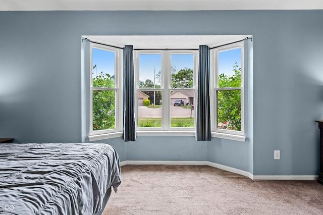 49 Grassy Dr, Whiteland, IN 46184 - carpeted bedroom with baseboards
