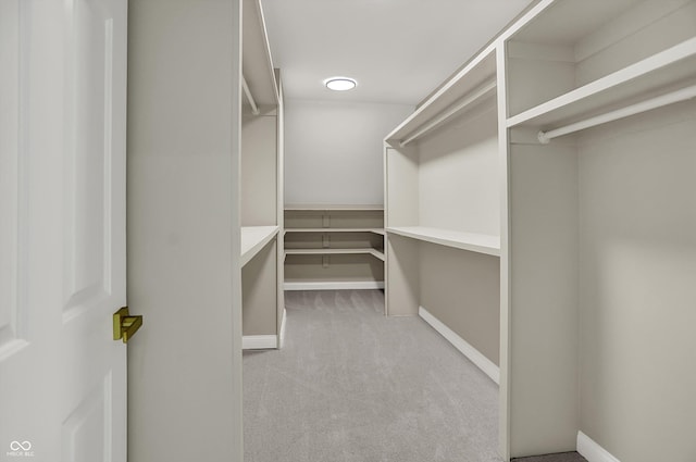 7131 Nile Ridge Ct, Indianapolis, IN 46236 - walk in closet with light carpet