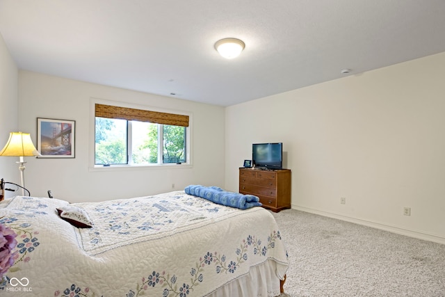 10569 Iron Horse Ln, Carmel, IN 46032 - photo 84