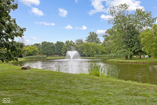 10569 Iron Horse Ln, Carmel, IN 46032 - photo 106