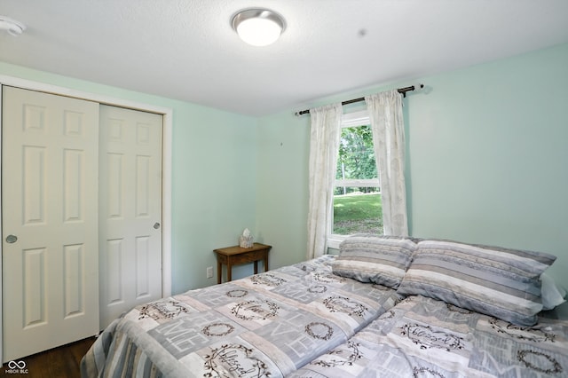 8453 S Christian Dr, Princes Lakes, IN 46164 - bedroom featuring dark wood-style flooring and a closet
