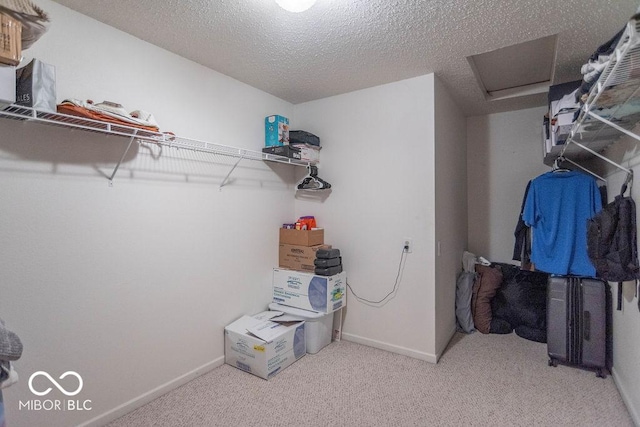 8703 Mellot Way, Camby, IN 46113 - walk in closet with attic access and carpet
