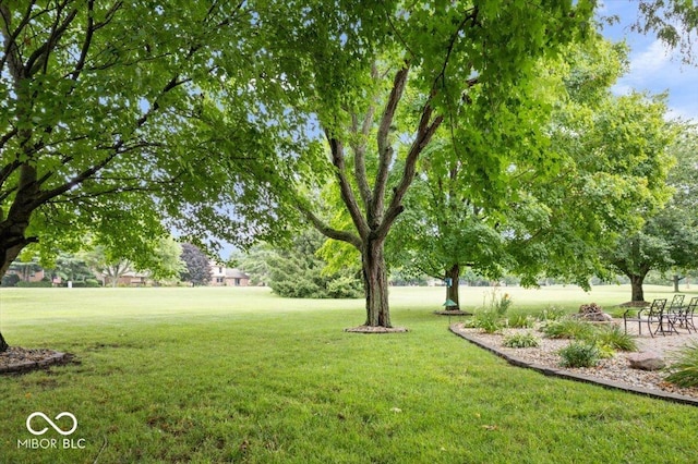5298 Royal Troon Way, Avon, IN 46123 - view of green lawn