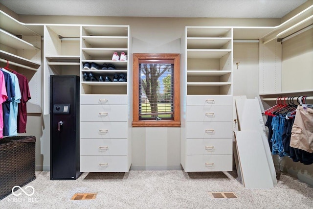 5298 Royal Troon Way, Avon, IN 46123 - spacious closet featuring carpet flooring