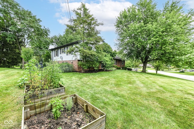 7014 Creekside Ln, Indianapolis, IN 46220 - view of green lawn featuring a vegetable garden