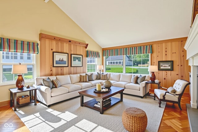 202 W Elbert St, Indianapolis, IN 46217 - living room with high vaulted ceiling, wood walls, and a fireplace