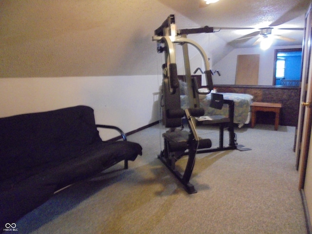 219 S Main St, Modoc, IN 47358 - workout area featuring vaulted ceiling and carpet