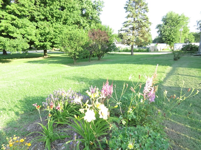 219 S Main St, Modoc, IN 47358 - view of grassy yard