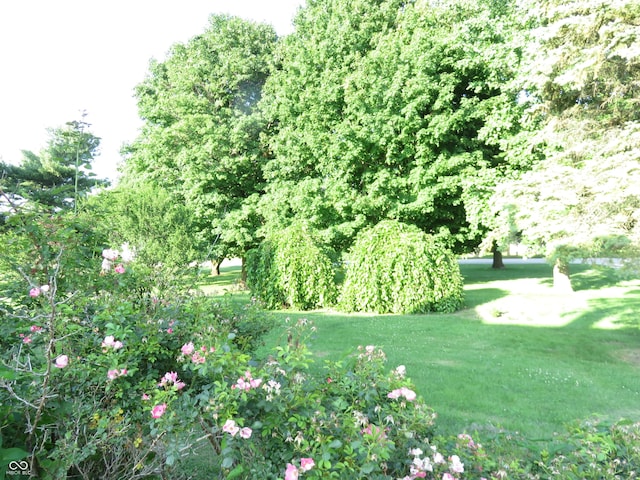 219 S Main St, Modoc, IN 47358 - view of green lawn