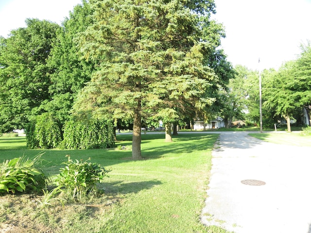 219 S Main St, Modoc, IN 47358 - view of community with a yard