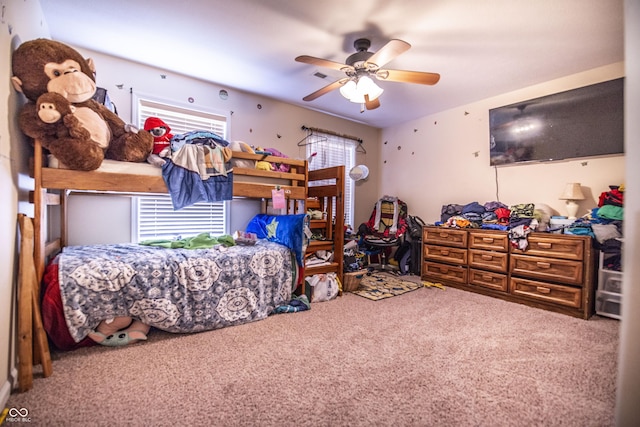 7407 Ponderosa Pines Ln, Indianapolis, IN 46239 - photo 23