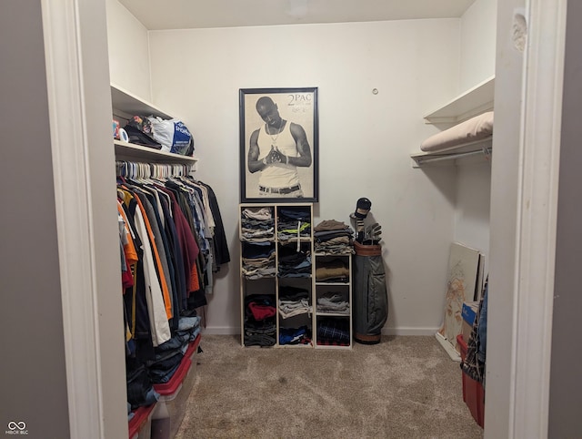 3236 Spruce St, Columbus, IN 47203 - spacious closet with carpet floors