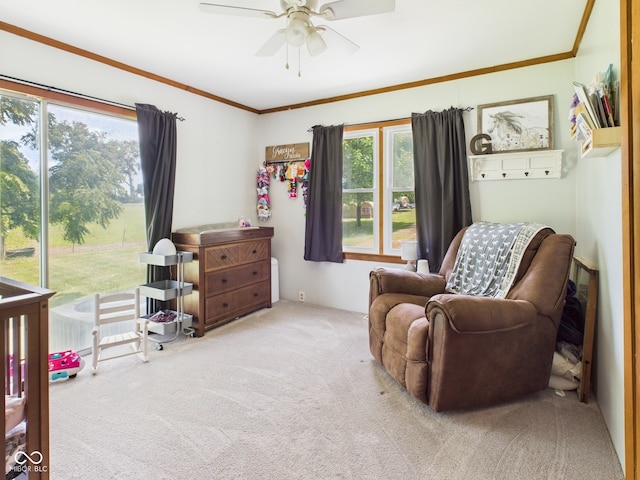 5282 W 900 N, Frankton, IN 46044 - bedroom featuring multiple windows, carpet flooring, ornamental molding, and a ceiling fan