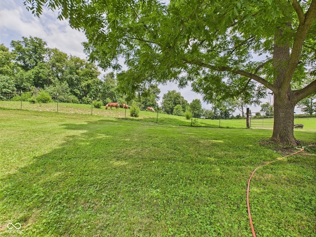 5282 W 900 N, Frankton, IN 46044 - view of yard