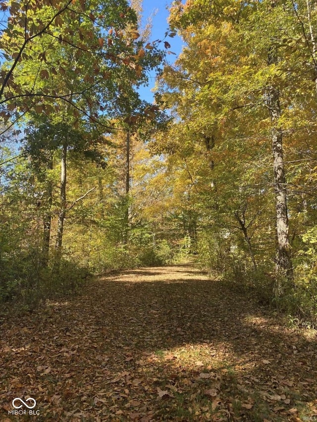 9970 N Brown Ln, Gosport, IN 47433 - view of wooded area