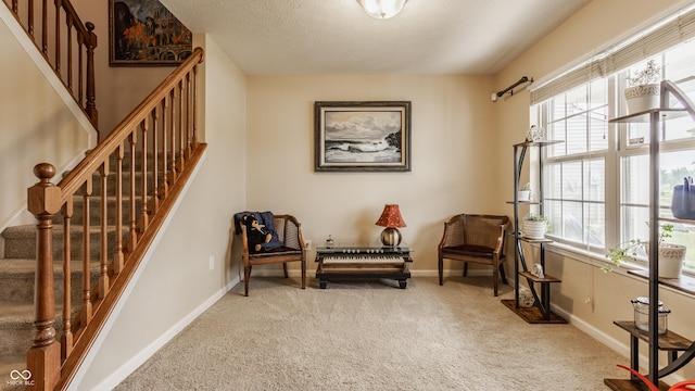 10122 Sedgehill Dr, Indianapolis, IN 46239 - photo 3