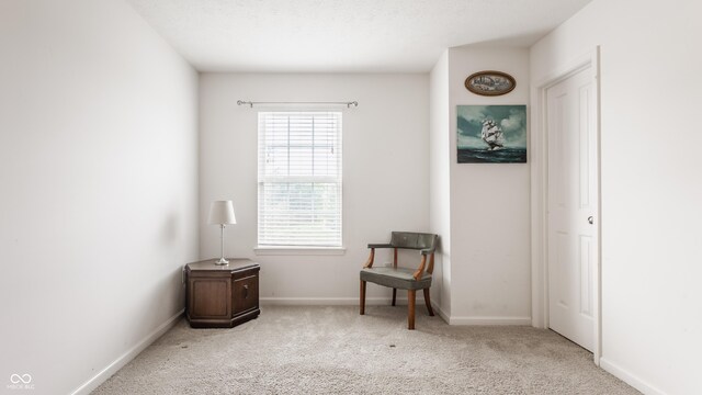 10122 Sedgehill Dr, Indianapolis, IN 46239 - photo 21