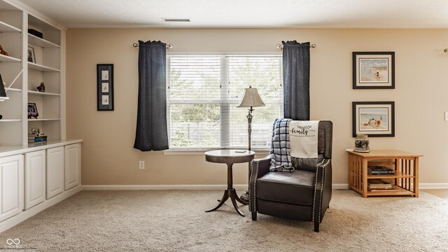 10122 Sedgehill Dr, Indianapolis, IN 46239 - photo 10