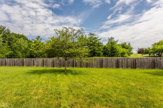 10122 Sedgehill Dr, Indianapolis, IN 46239 - photo 29