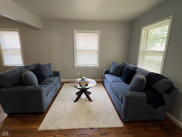 1726 N Linwood Ave, Indianapolis, IN 46218 - living room with plenty of natural light and dark wood-style floors