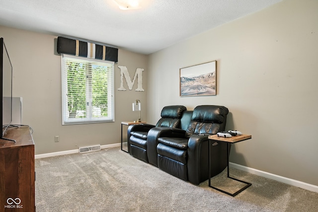 3191 W 246th St, Sheridan, IN 46069 - sitting room with carpet and a textured ceiling