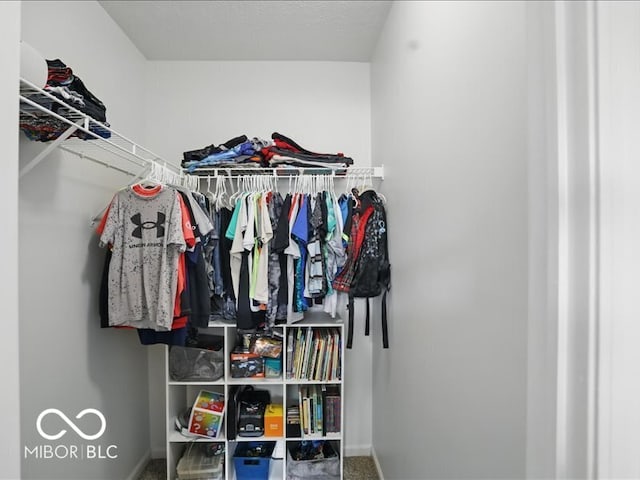 8508 Aviva Ln, Indianapolis, IN 46237 - view of spacious closet