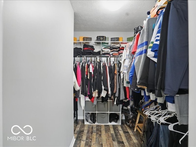 8508 Aviva Ln, Indianapolis, IN 46237 - walk in closet featuring wood finished floors