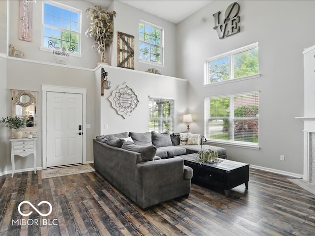 8508 Aviva Ln, Indianapolis, IN 46237 - living area featuring a high ceiling and dark wood-type flooring