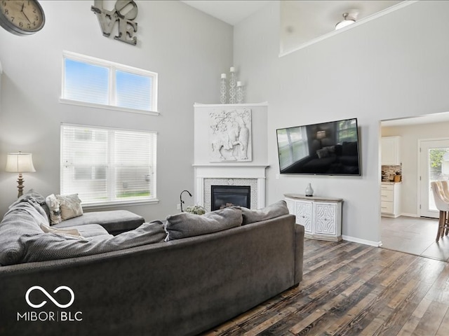8508 Aviva Ln, Indianapolis, IN 46237 - living area featuring a high ceiling, a glass covered fireplace, and dark wood-style flooring