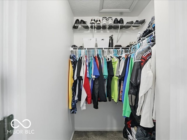 8508 Aviva Ln, Indianapolis, IN 46237 - spacious closet with attic access and carpet