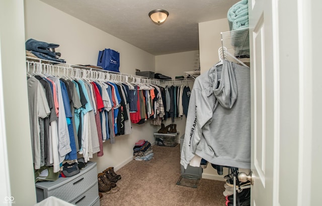 108 Herbert Ct, Trafalgar, IN 46181 - spacious closet with carpet flooring