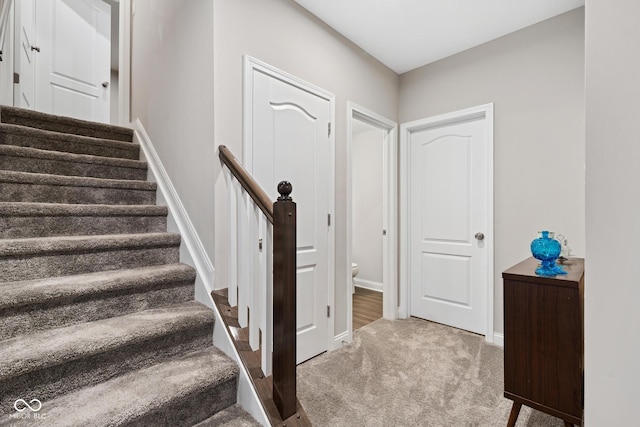 6330 Teakwood Way, Mccordsville, IN 46055 - stairs featuring carpet flooring and baseboards