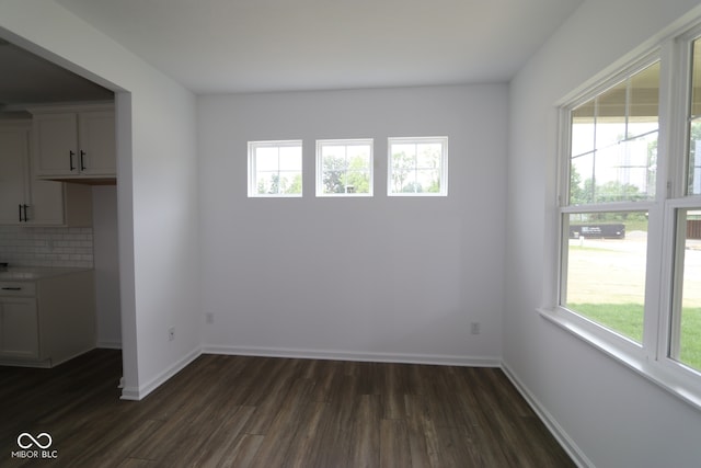1825 Real St, Indianapolis, IN 46240 - unfurnished dining area featuring dark wood finished floors and baseboards