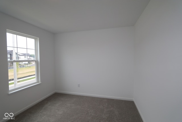 1825 Real St, Indianapolis, IN 46240 - carpeted empty room featuring baseboards