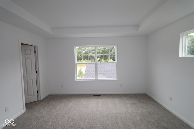 1825 Real St, Indianapolis, IN 46240 - empty room featuring a tray ceiling and carpet floors