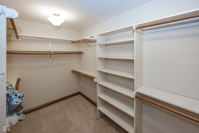 1112 N Dogwood Way, Greenfield, IN 46140 - walk in closet with light carpet
